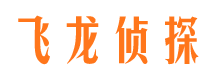 东城市调查公司